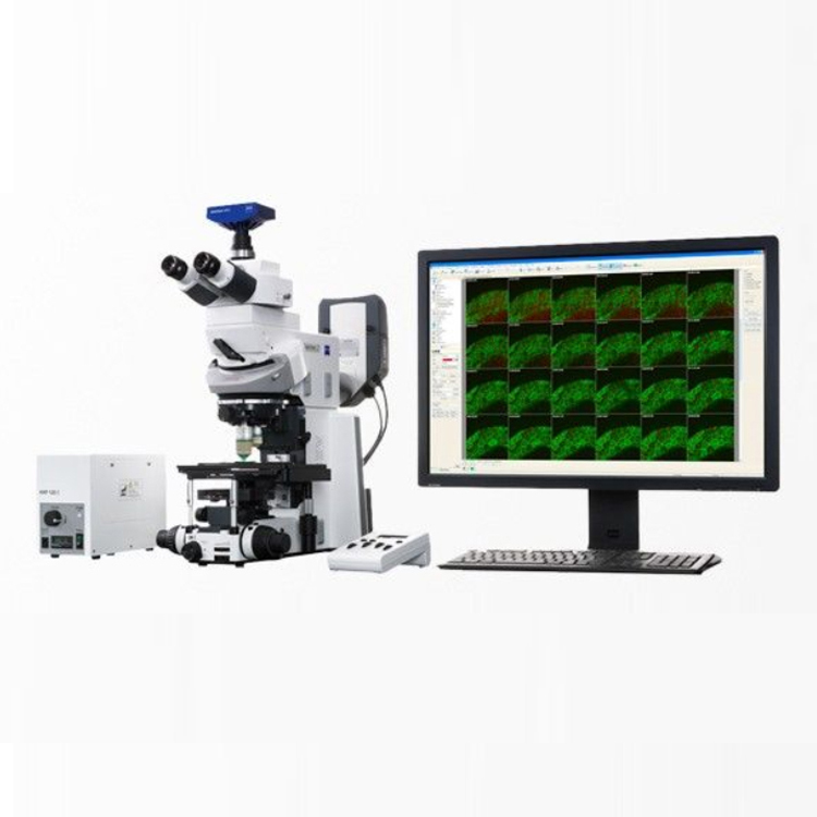 蔡司光學顯微鏡Axio Examiner固定載物臺式研究級顯微鏡 蔡司光學顯微鏡Axio Examiner固定載物臺式研究級顯微鏡